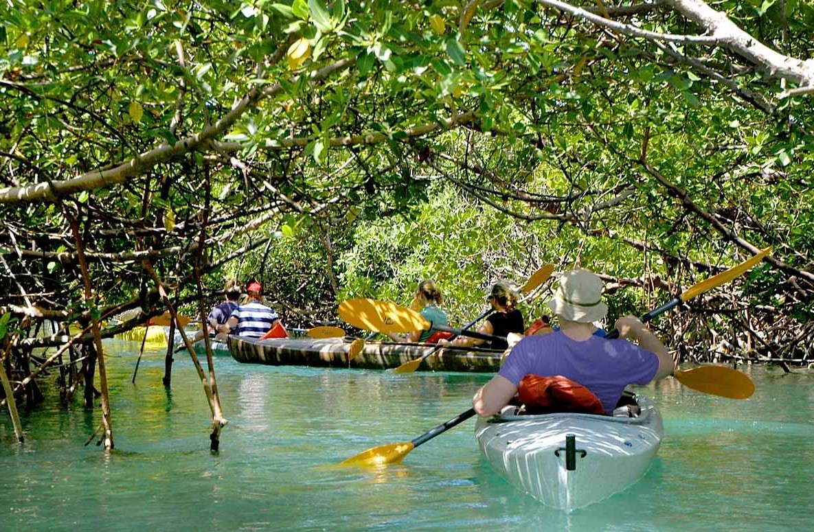 Kayak & Cave Tour