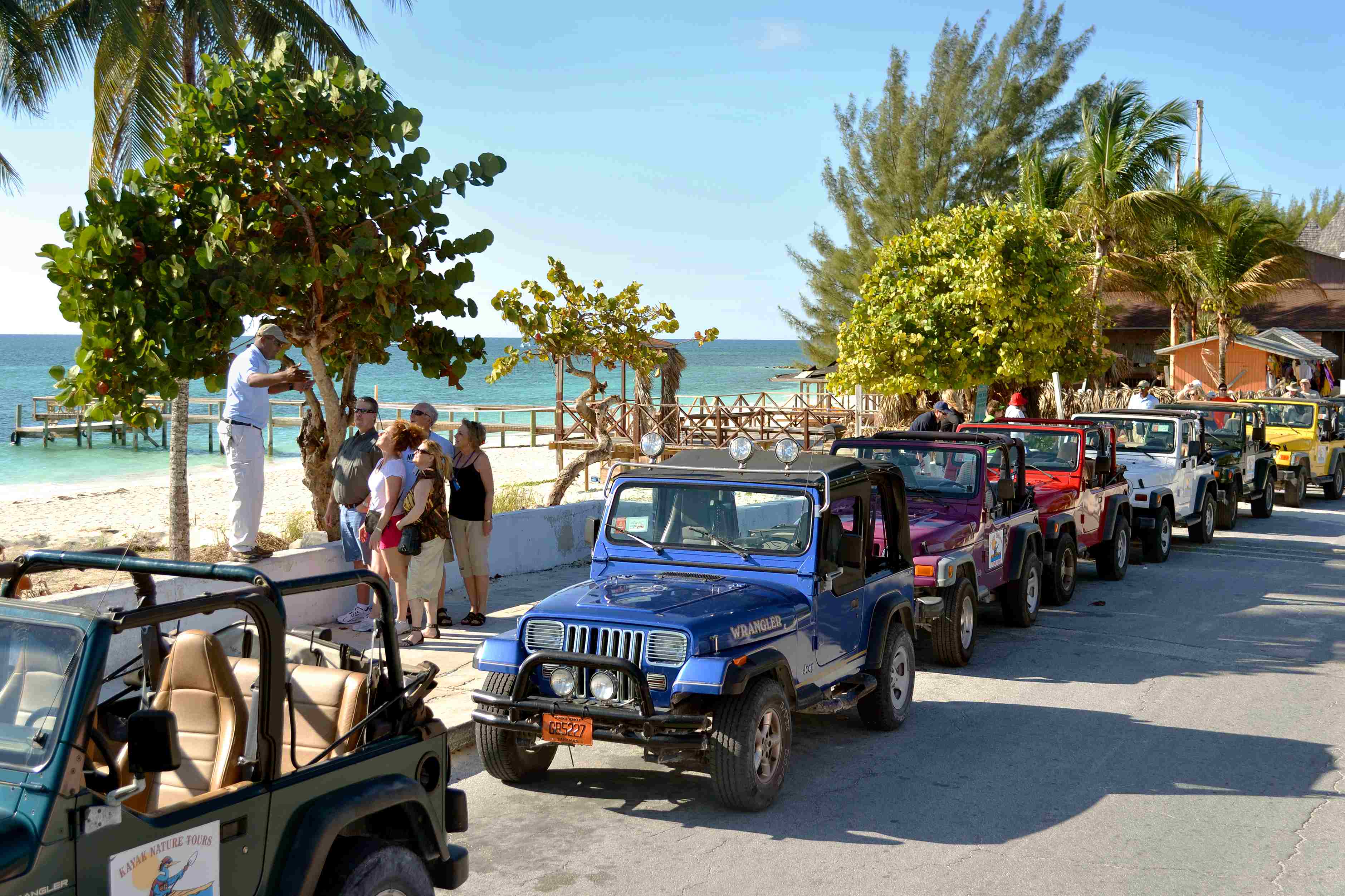 Scenic Grand Bahama Exploration